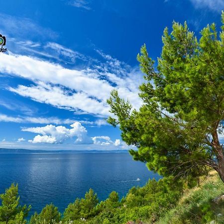 Vila Maslina Apartments Mit Pool Und Garten Nahe Am Strand Tučepi Eksteriør bilde