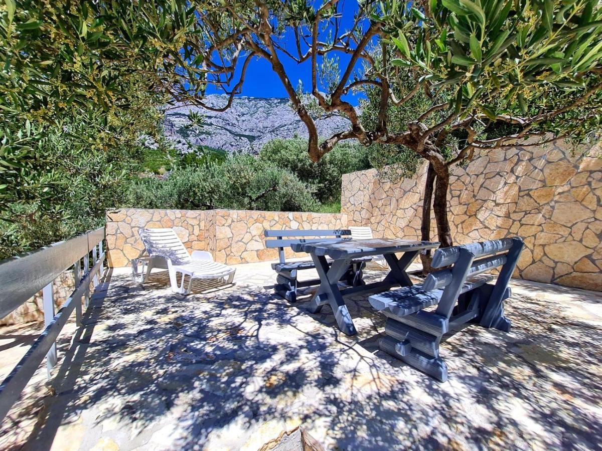 Vila Maslina Apartments Mit Pool Und Garten Nahe Am Strand Tučepi Eksteriør bilde