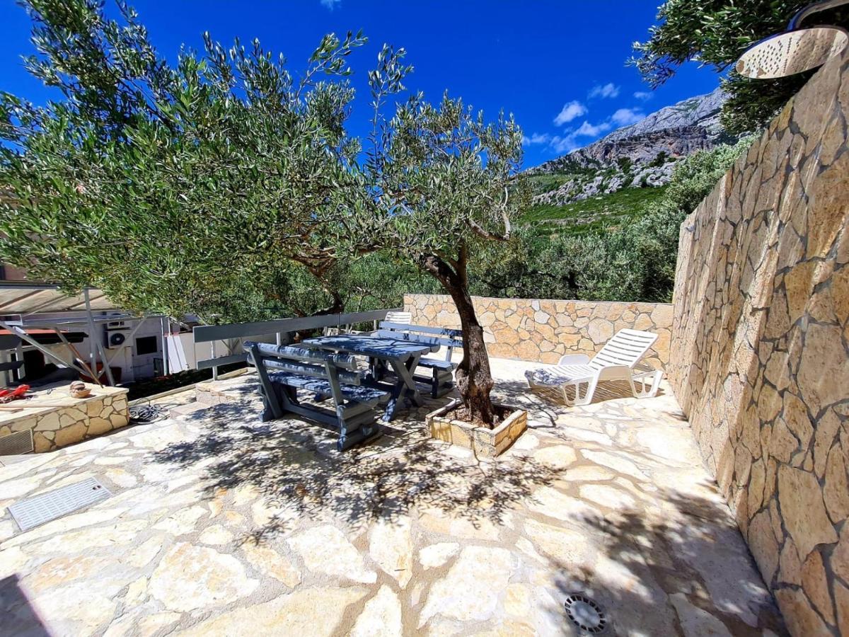 Vila Maslina Apartments Mit Pool Und Garten Nahe Am Strand Tučepi Eksteriør bilde