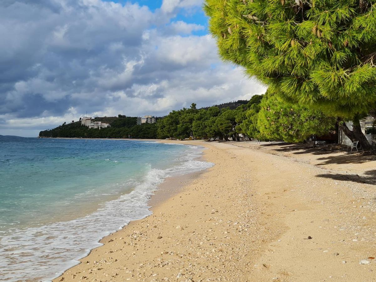 Vila Maslina Apartments Mit Pool Und Garten Nahe Am Strand Tučepi Eksteriør bilde