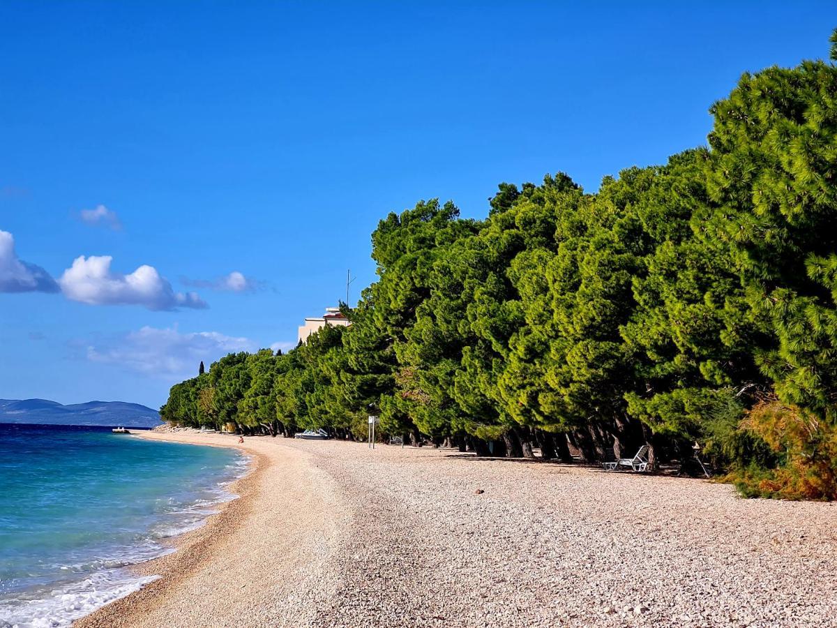 Vila Maslina Apartments Mit Pool Und Garten Nahe Am Strand Tučepi Eksteriør bilde