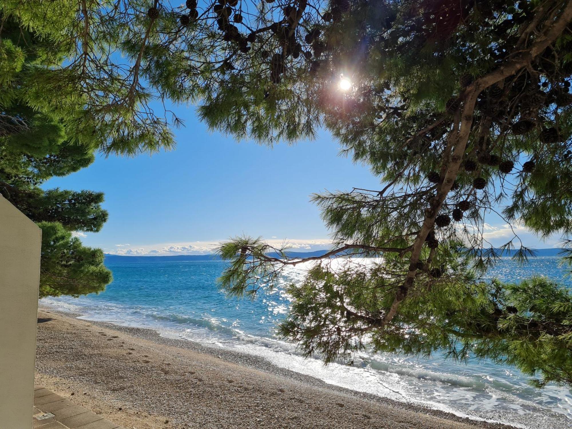 Vila Maslina Apartments Mit Pool Und Garten Nahe Am Strand Tučepi Eksteriør bilde