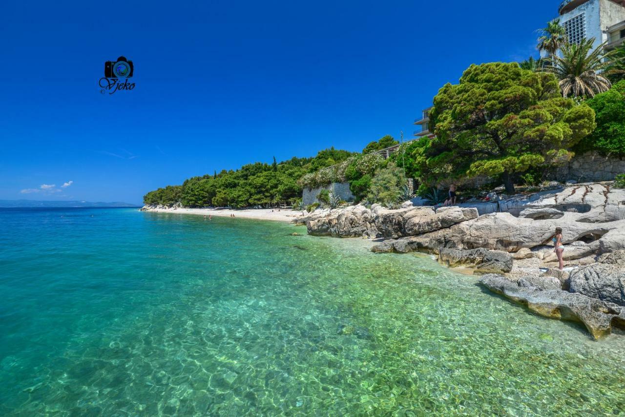 Vila Maslina Apartments Mit Pool Und Garten Nahe Am Strand Tučepi Eksteriør bilde