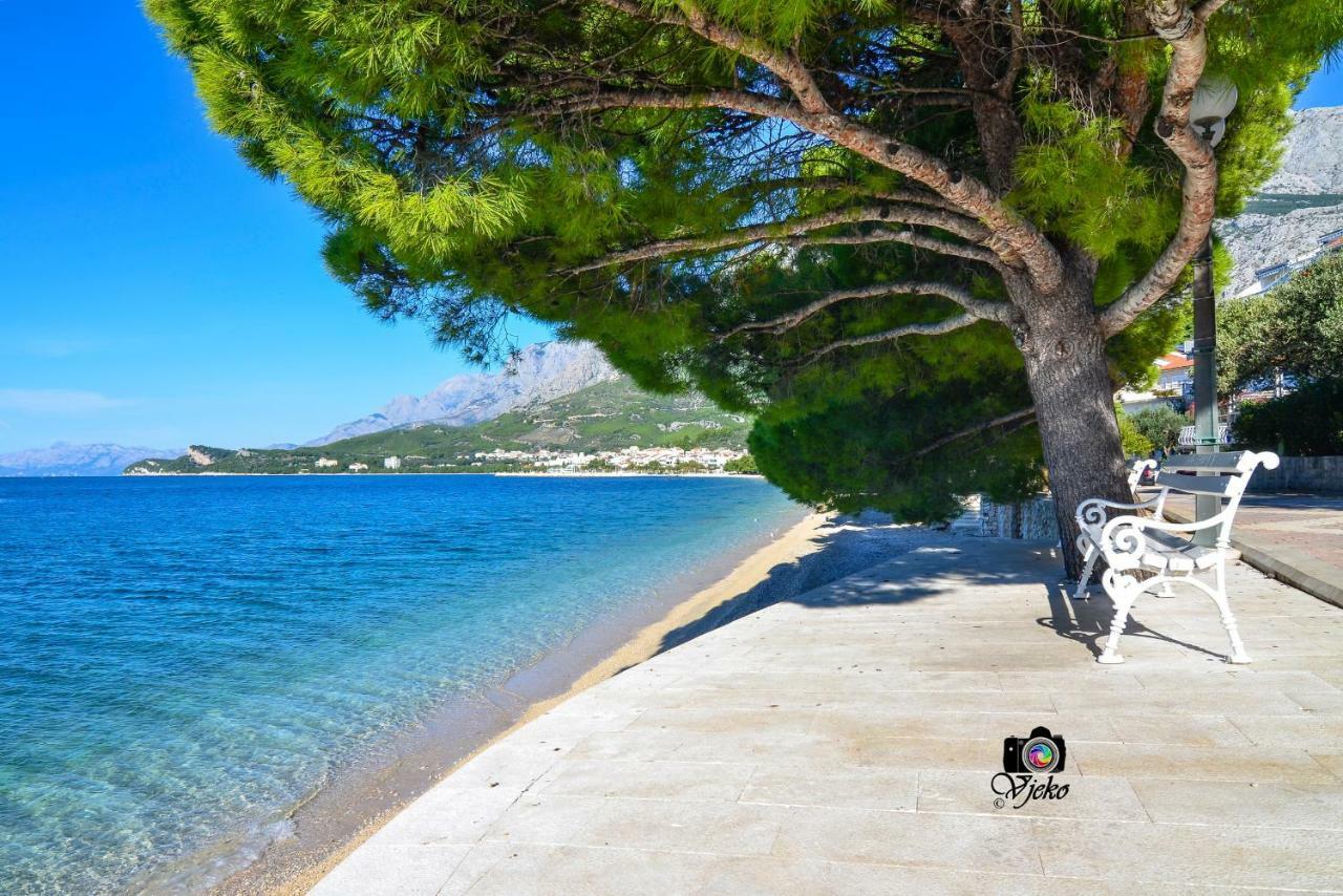 Vila Maslina Apartments Mit Pool Und Garten Nahe Am Strand Tučepi Eksteriør bilde